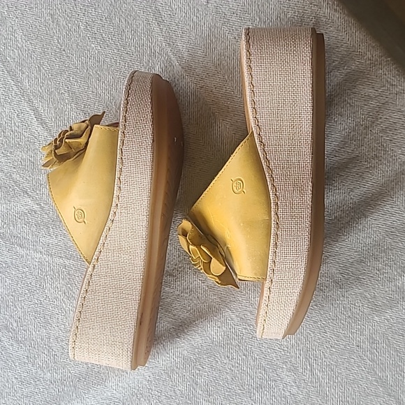 Born mustard slides - Picture 3 of 5